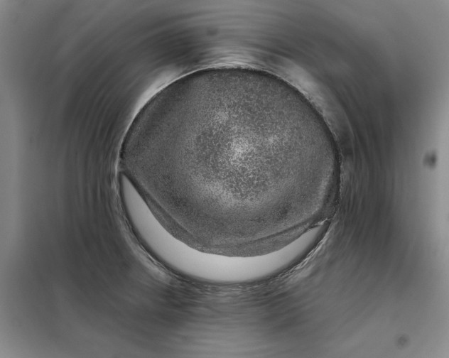 X0000098151234200805011400