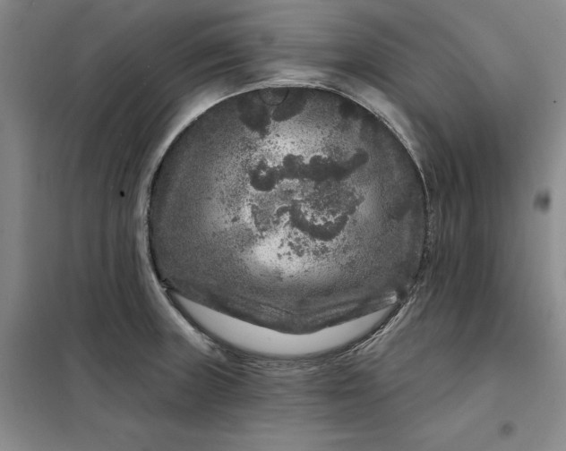 X0000098151235200805011400