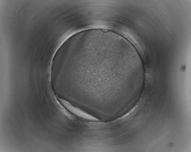 X0000098151236200805011400