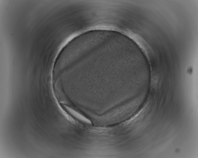 X0000098151237200805011400