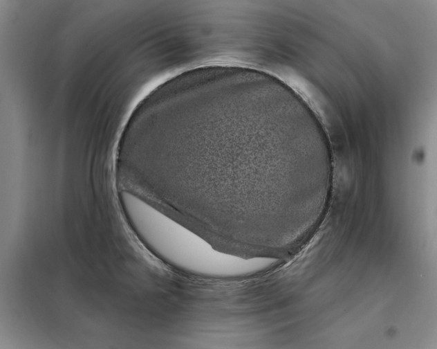 X0000098151238200805011400