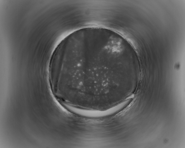X0000098151239200805011400