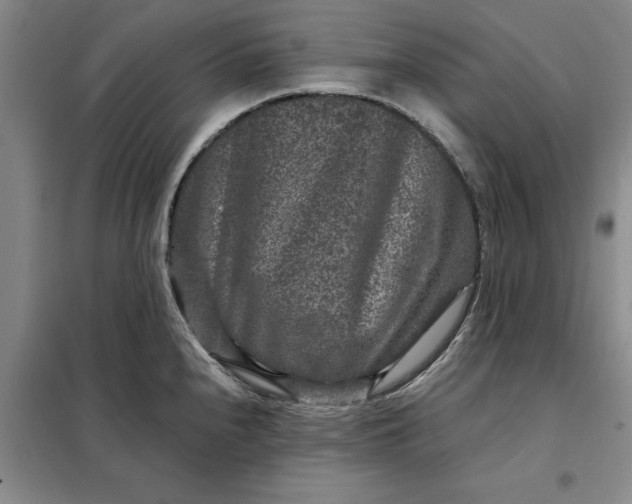 X0000098151240200805011400
