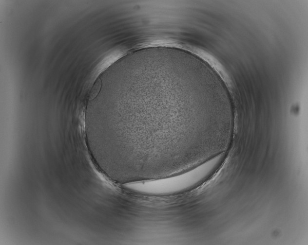 X0000098151241200805011400