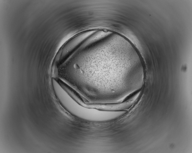 X0000098151242200805011400
