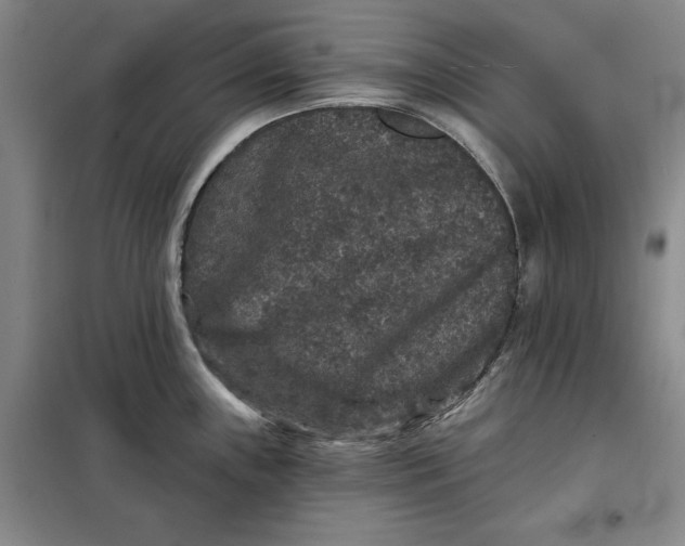 X0000098151243200805011400