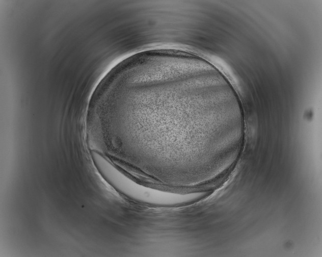 X0000098151244200805011400
