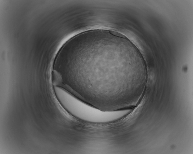 X0000098151246200805011400