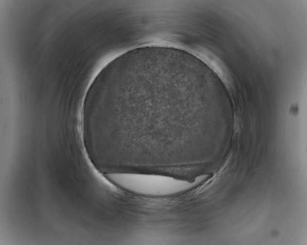 X0000098151247200805011400