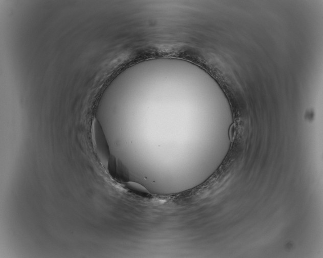 X0000098151249200805011359