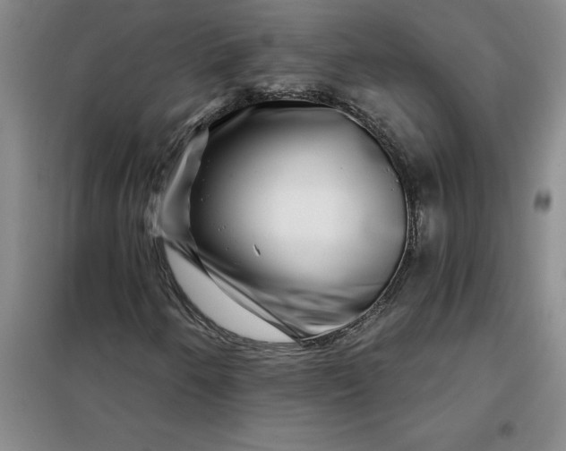 X0000098151250200805011359