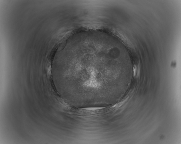 X0000098151251200805011359