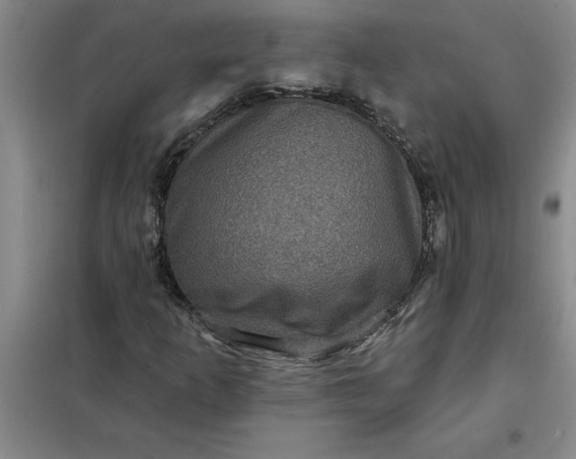 X0000098151253200805011359