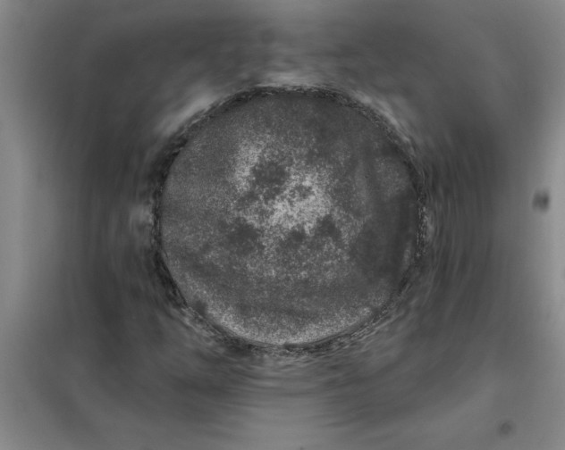 X0000098151254200805011359