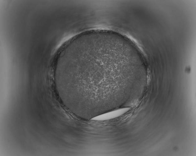 X0000098151255200805011359
