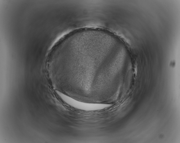 X0000098151256200805011359