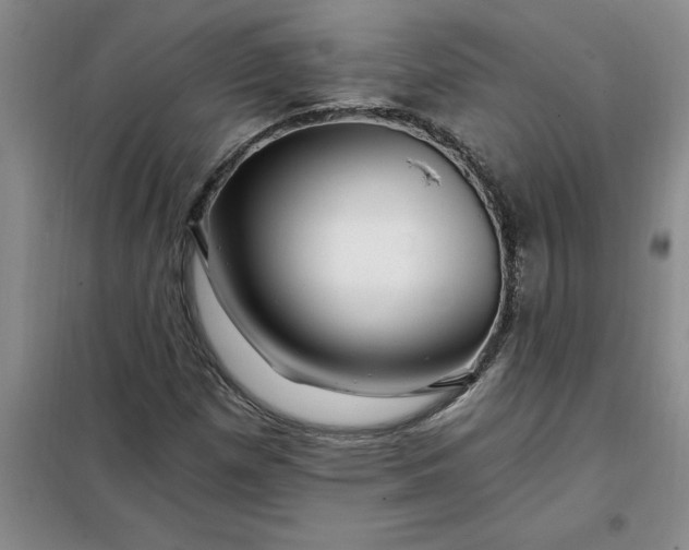 X0000098151257200805011359