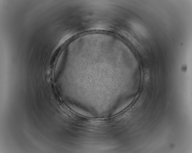 X0000098151258200805011359