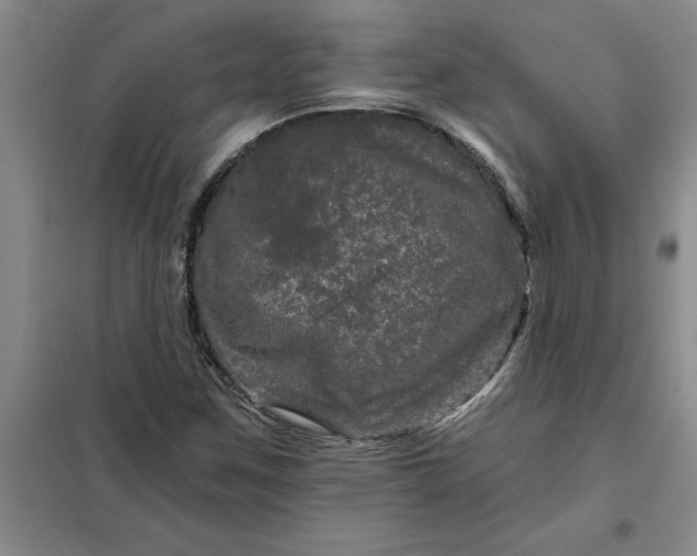 X0000098151259200805011359