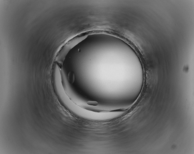 X0000098151260200805011359