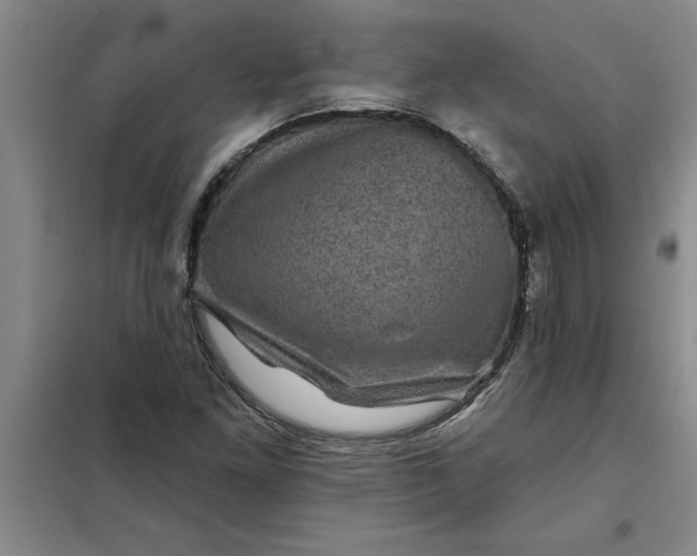 X0000098151261200805011359