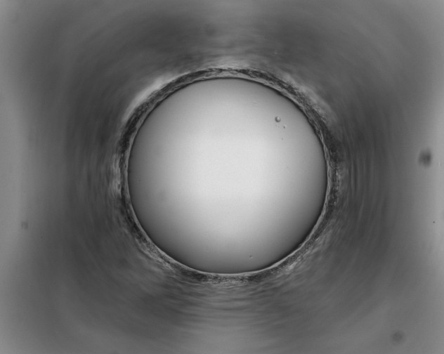 X0000098151262200805011359