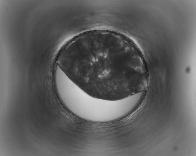 X0000098151263200805011359