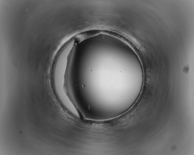 X0000098151264200805011359