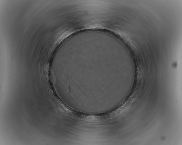 X0000098151265200805011359