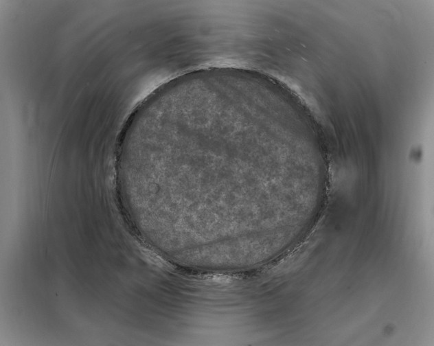 X0000098151266200805011359
