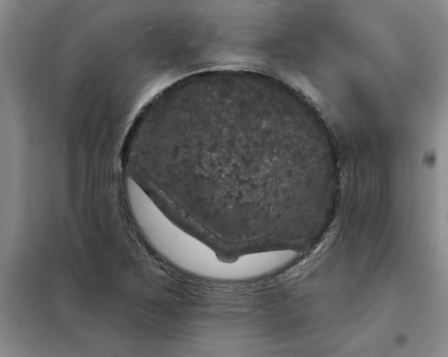 X0000098151267200805011359