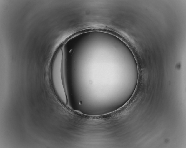 X0000098151269200805011359