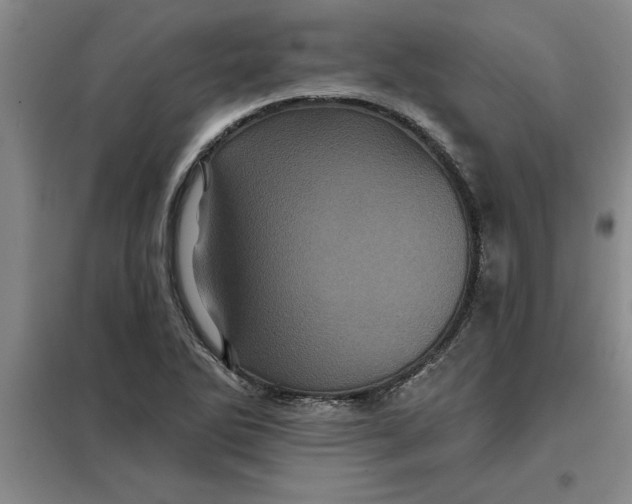 X0000098151270200805011359