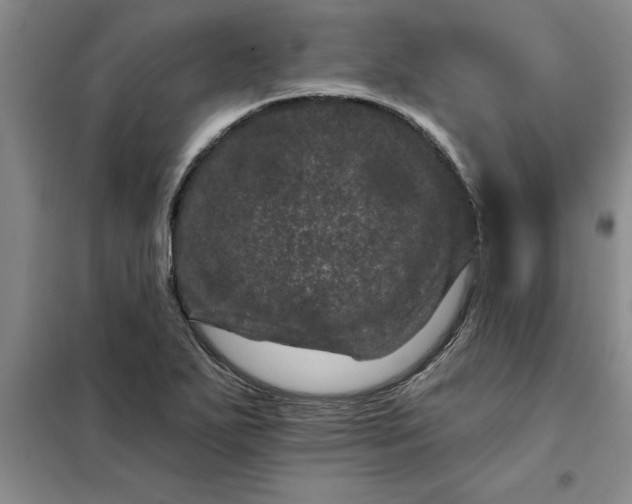 X0000098151271200805011359