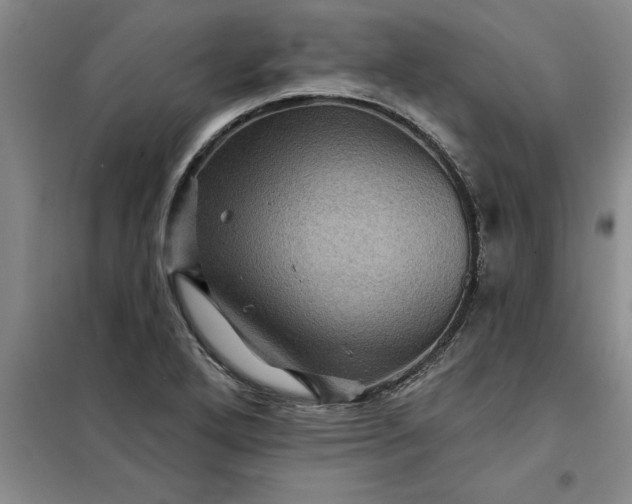 X0000098151272200805011359