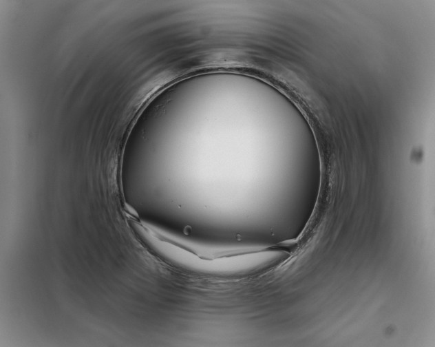 X0000098151273200805011359