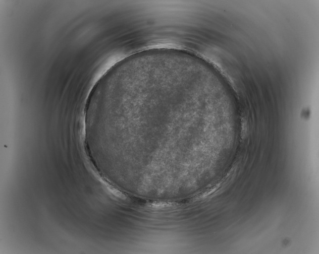 X0000098151274200805011359
