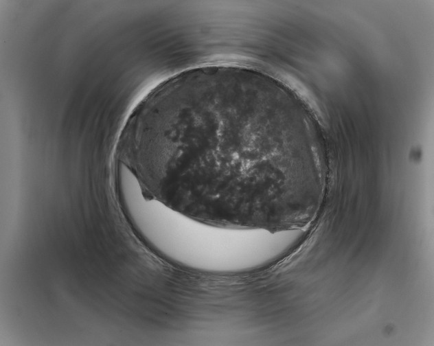 X0000098151275200805011359