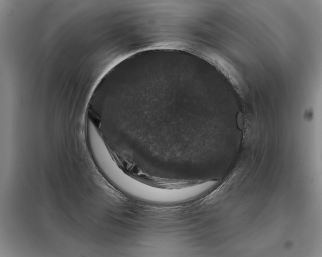 X0000098151276200805011359