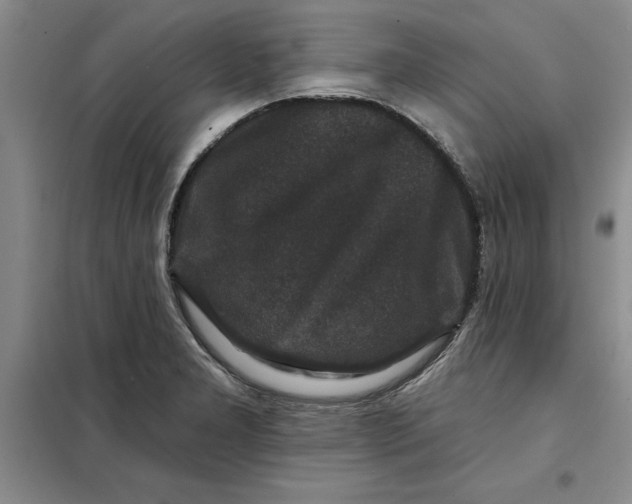X0000098151277200805011359