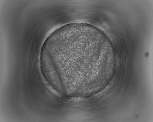 X0000098151278200805011359
