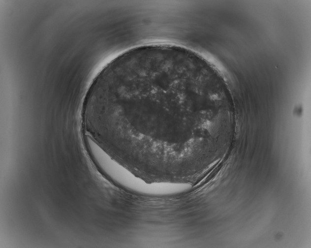 X0000098151279200805011359