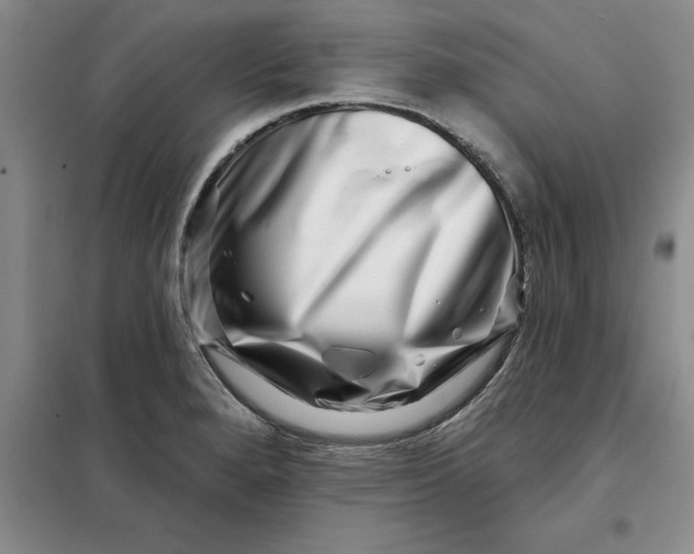 X0000098151280200805011359