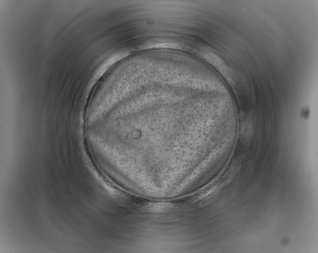 X0000098151282200805011359