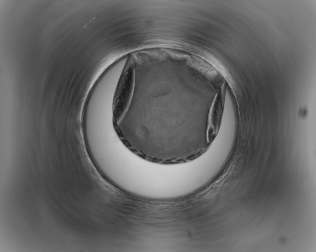 X0000098151283200805011359
