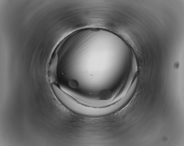 X0000098151284200805011359