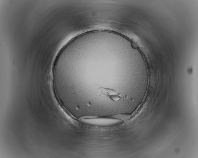 X0000098151286200805011359
