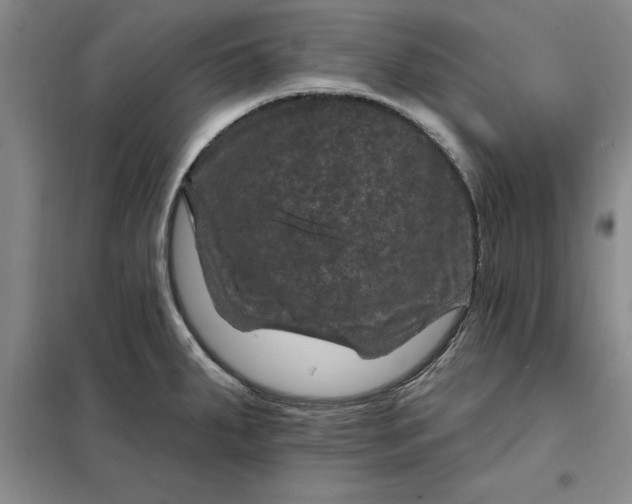 X0000098151287200805011359