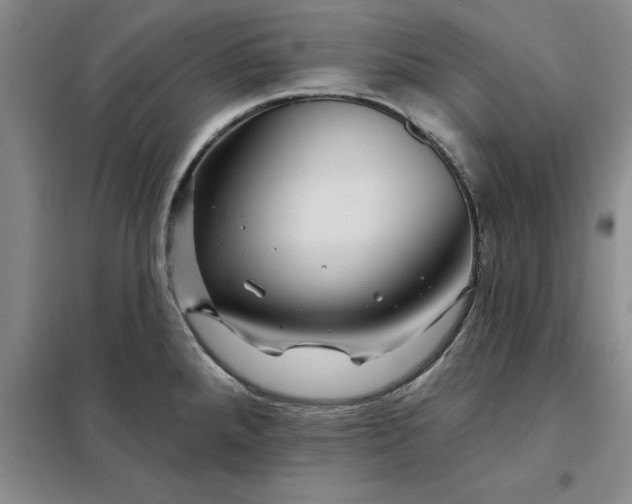 X0000098151288200805011359