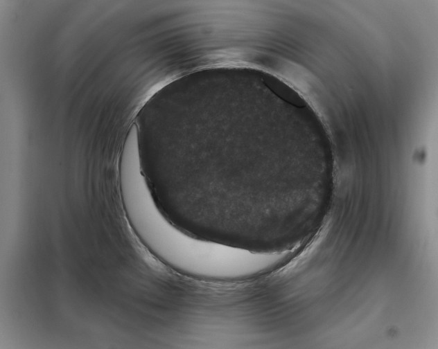 X0000098151289200805011359